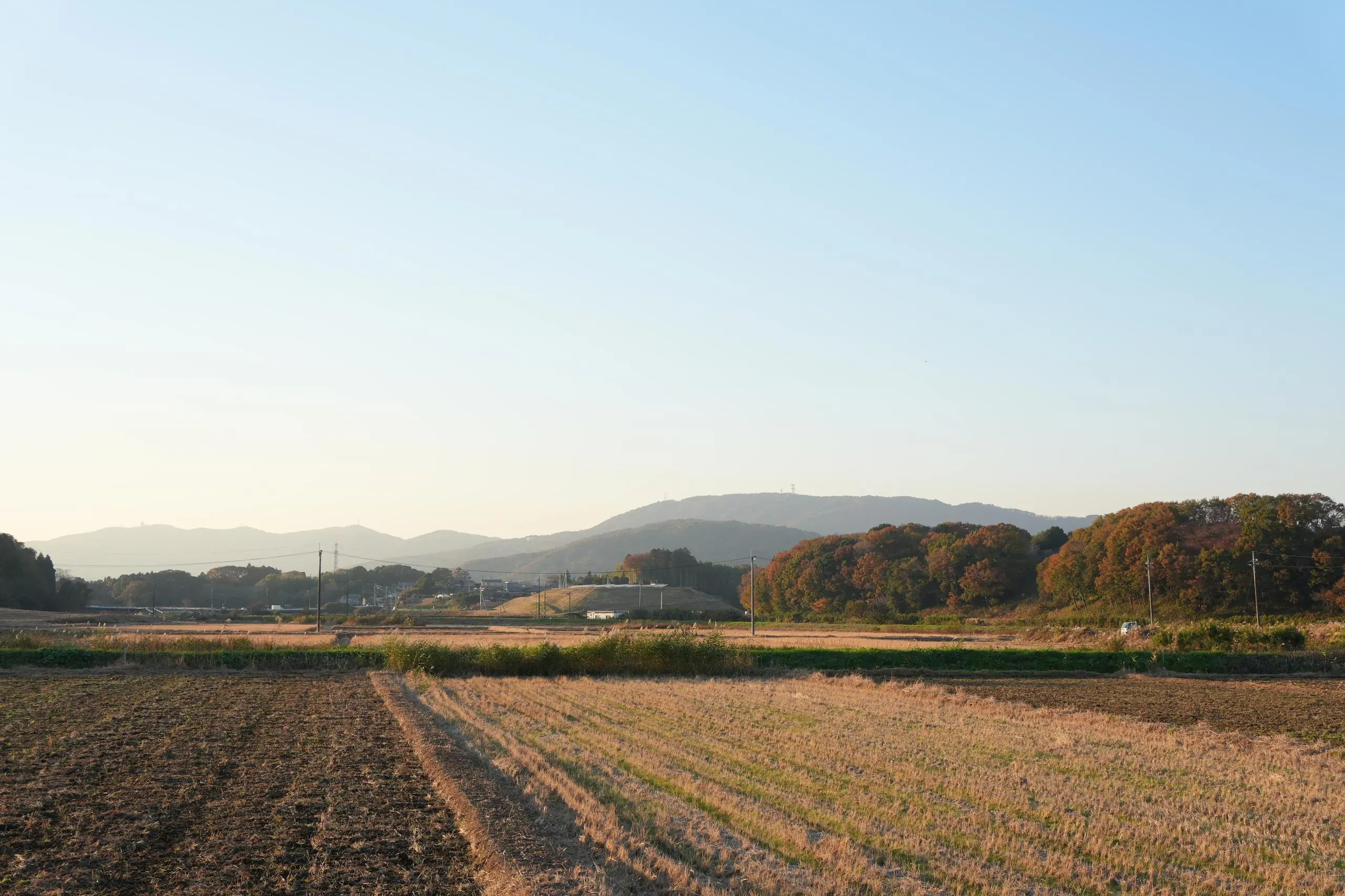 農閒時期的田地
