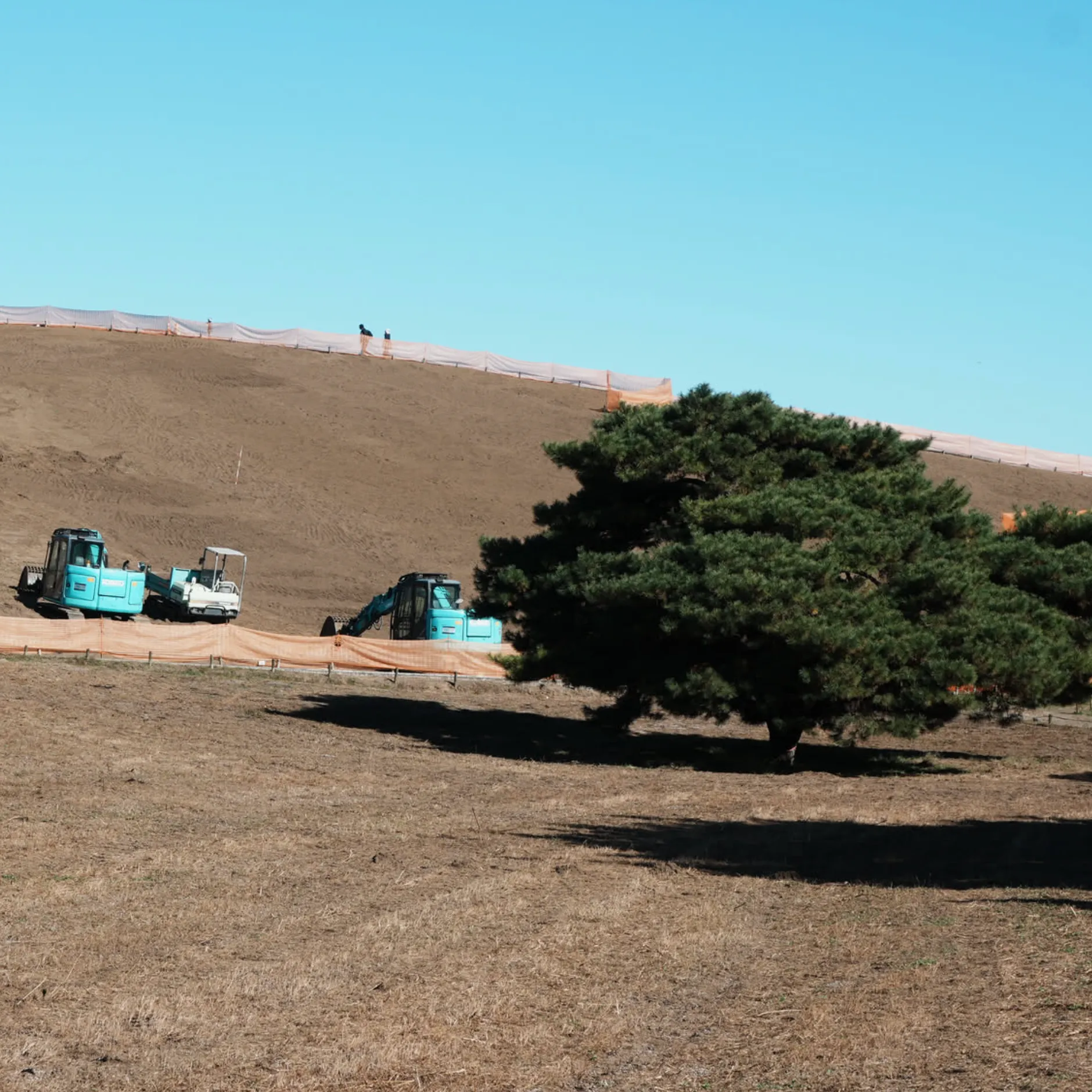 Summer Pockets 荒地巡禮：日本農村風景的好（下篇） cover image